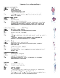 Spieren module 9, bewegingsanalyse & pathologie 1