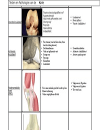 Testen en pathologie van de Knie