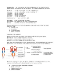 Neurologie Logopedie