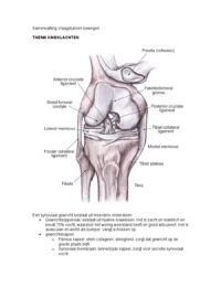 Samenvatting vraagstukken bewegen thema knieklachten, hand-, pols- en elleboogklachten, afwijkend looppatroon en uitgebreide traumata, functieonderzoe