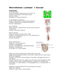 lp 21 Wervelkolom Lumbaal + Sacraal