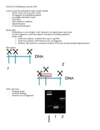 Samenvatting NAD HC10