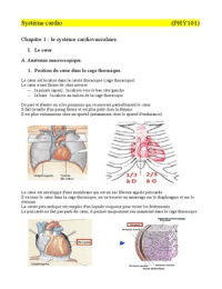 système cardio vasculaire