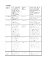 Hersenen & Gedrag: Begrippenlijst in Engels en Nederlands