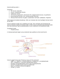 3.B.1. HC's, VO's & ZO's week 1, incl. slimstuderen