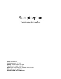 Scriptieplan strafrecht