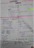 Lacrimal apparatus