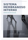 sistema membranoso interno