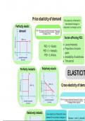 A level Economics (AQA) Price Elasticity Revision Notes