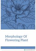 Morphology Of Flowering Plant| NEET /Class 11th/B.Sc (Science/Life Science)