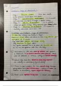 psych attachment notes 2