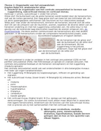 Blok 1 2e jaar Geneeskunde Neurologie