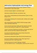 adenosine triphosphate and energy flow  with Verified Correct Answers