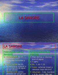 Fisiología: sistema cardiovascular, la sangre