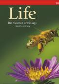 Test Bank Life The Science of Biology Digital Update Twelfth Edition David M.Hillis  