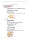 Samenvatting van de craniale zenuwen van neuroanatomie