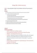 Biology Mitosis - DNA Structure notes + Explenation