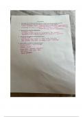 Brain Anatomy Guided Notes SPECED325