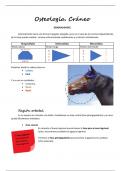 Guía de estudio de anatomía veterinaria