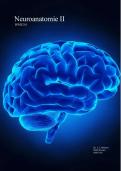 Een duidelijke samenvatting van neuroanatomie 2: collegeslides + boek Martin