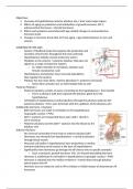 Lecture Notes for Neuroendocrine Ageing 