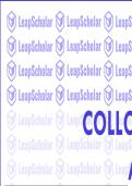 Collocations & Connectors_Formatted.