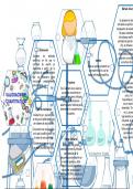 Mapa Conceptual: Valoraciones Cuantitativas y Tipos de Volumetrias