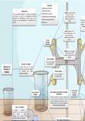 Apuntes  	QUI-2450 Análisis Cuantitativo (QUI-2450) MAPA CONCEPTUAL VOLUMETRIA DE FORMACION DE COMPLEJOS