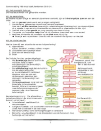 Samenvatting EHBO boek