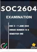 SOC2604 MAY/JUNE EXAMINATION (COMPLETE ANSWERS) Semester 1 2024  - DUE:  5 - 7 JUNE 2024