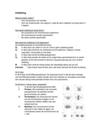 Hoorcollege Celdeling
