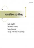 Labour And Delivery (Obstetrics)