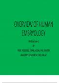 OVERVIEW OF HUMAN EMBRYOLOGY