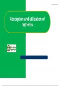 Lesson 4_Absorption and utilization of nutrients