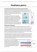 Samenvatting Mendeliaanse genetica - Leerdoelen genotype & fenotype