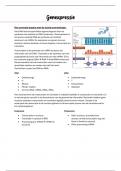 Samenvatting Genexpressie - Leerdoelen genotype & fenotype