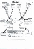 Chemistry Mole Map