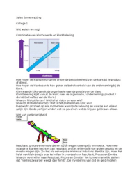 Samenvatting Salesmanagement