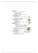 Biol 125 - Lymphatic system Notes 