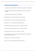 Cellular Respiration Questions And Answers Graded A+