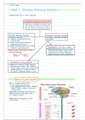 Unit 1 - Human Nervous system 