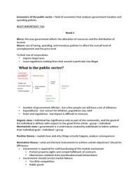 Economics of the Public Sector - summary book + lectures