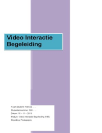 Video Interactie Begeleiding (VIB) eindverslag jaar 3