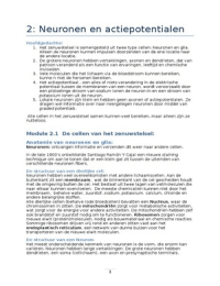 BIO/Neuro Psychologie - Bouw en samenstelling brein