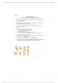 Biol 102 - LBL Chapter 6; Cell division Worksheet 