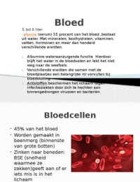 bloed biologie /afp 