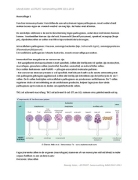 IMM - Volledige samenvatting