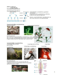 ANF12 Samenvatting College 6