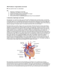 Het Gezonde Lichaam taak 2: Hart- en vaatstelsel