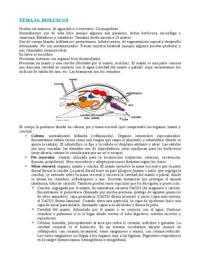 Zoologia: Tema 14. Moluscos